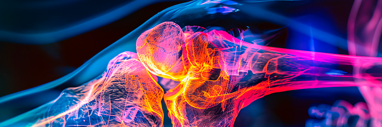 Estudos em Ortopedia e Traumatologia