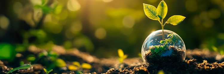 Engenharia Ambiental